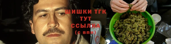 прущие крисы Киренск