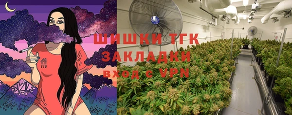 прущие крисы Киренск