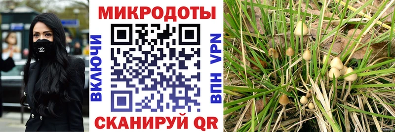 Галлюциногенные грибы мицелий  Купить закладки  Ивантеевка 